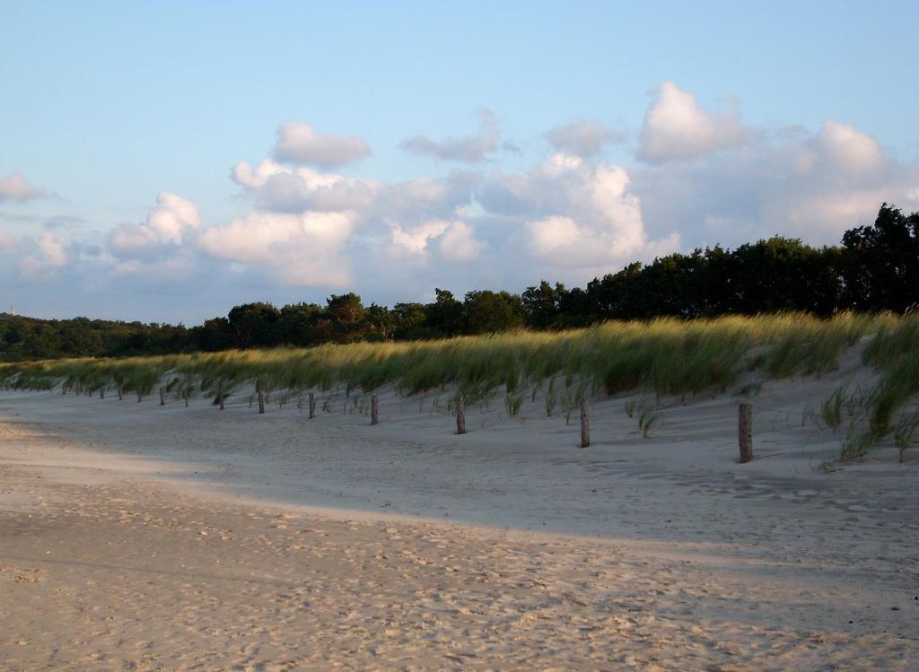 Das Hudewald Hotel & Resort Ückeritz Buitenkant foto